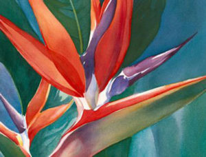image de peinture d'Illustration de fleure