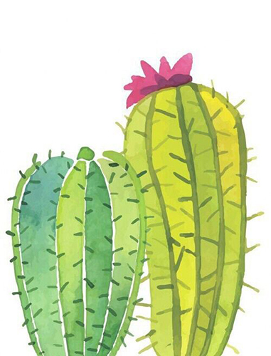 image cactus en aquarelle